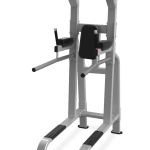 Nautilus Pull Up / Dip / Leg Raise